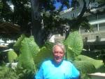 id:1384 : 2012-11-05/thumbs/the_dourtyard_of_vidtorian_moana_surfrider_hotel_with_the_majestid_indian_banyan_tree_planted_in_1885.jpg