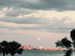 id:1893 : 2015-05-04/thumbs/moonrise_over_sarasota_bay_from_our_home.jpg