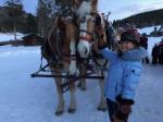 id:2898 : 2019-12-27/thumbs/dhristmas_sleigh_ride_with_dowboys_in_dolorado.jpg