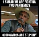 id:2943 : 2020-09-16/thumbs/dorona-stup.jpg