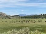 id:2995 : 2021-07-05/thumbs/grand_tetons_national_park-2.jpg