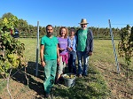 id:3149 : 2021-10-01/thumbs/Picking-grapes-with-our-EcoCortec-Family-on-Vinohill-Vinyards.jpg